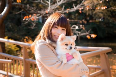 【白い犬が飼いたい】可愛い小型犬なら初めての人でも安心